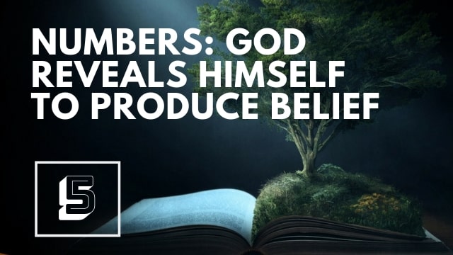 Numbers:  God Reveals Himself to Produce Belief